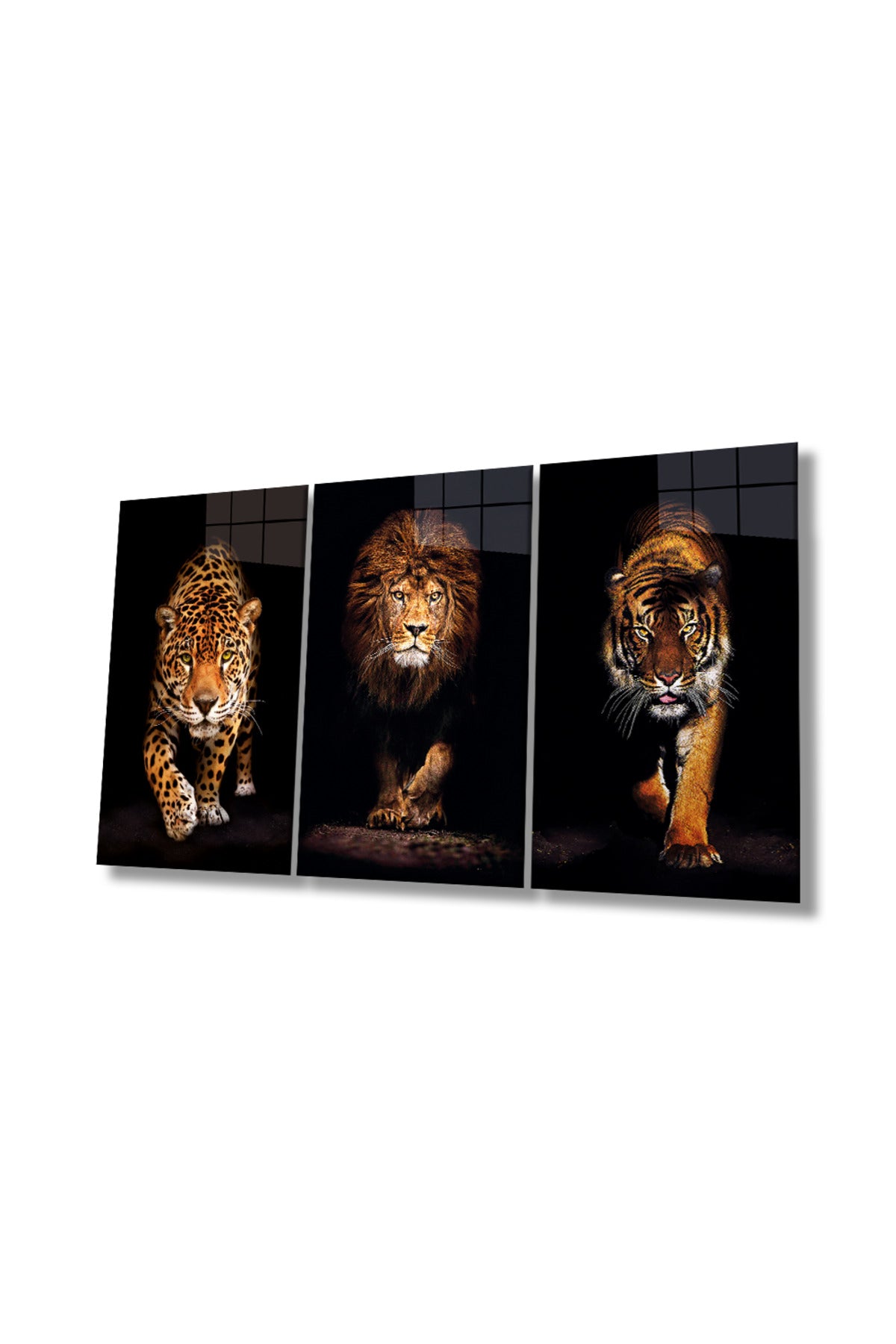 Jaguar, Aslan ve Kaplan 3 Parça Set Cam Tablo, Vahşi Hayvan Portresi, Hediyelik Ev Ofis Duvar Dekoru