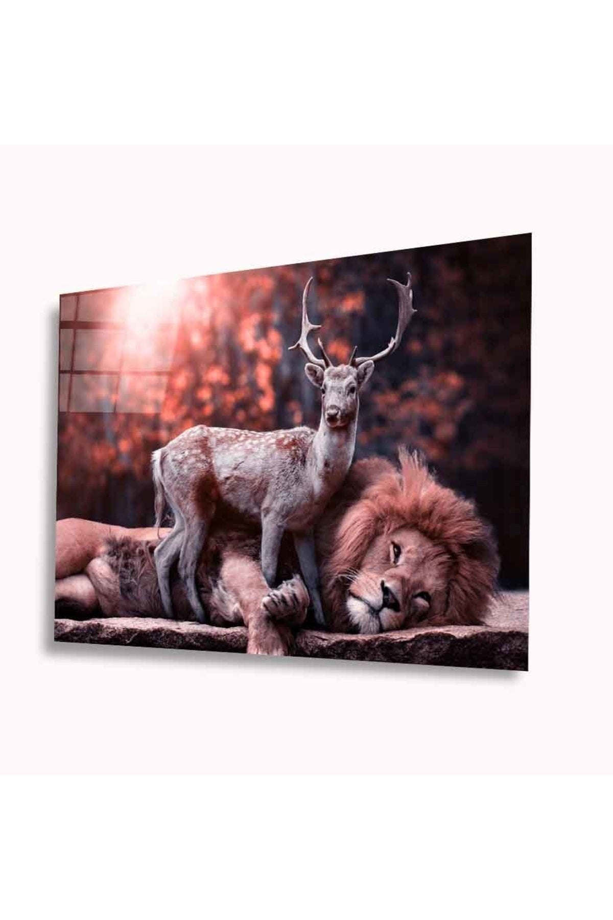 Aslan Ve Geyik Vahşi Doğa Manzarası Cam Tablo, Ev Ve Ofis Duvar Dekoru, Hediyelik, Temperli Cam