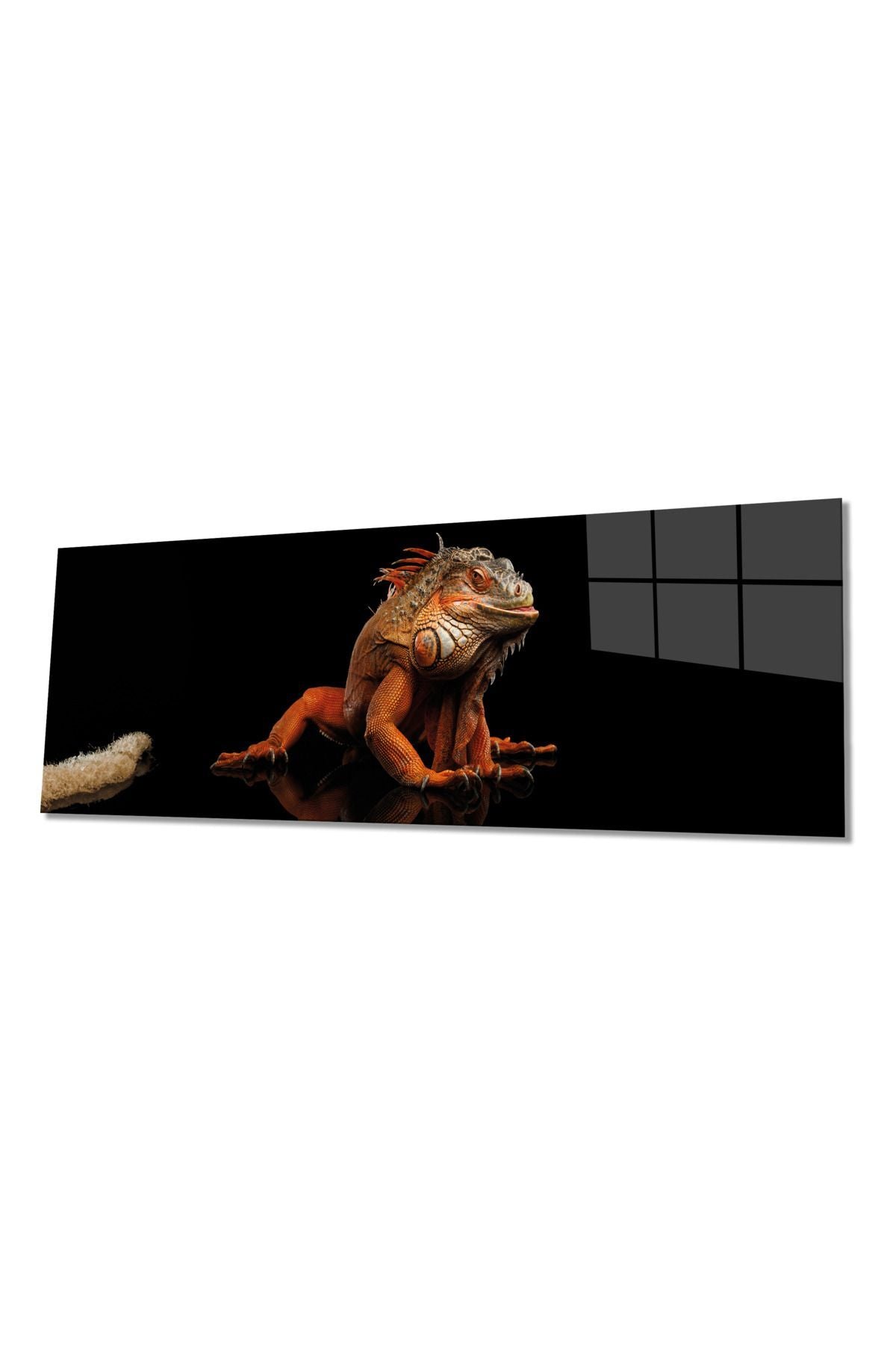 Komodo Ejderi Hayvan Portresi Panoramik Cam Tablo, Şık Ev Ofis Duvar Dekoru, Hediyelik Temperli Cam